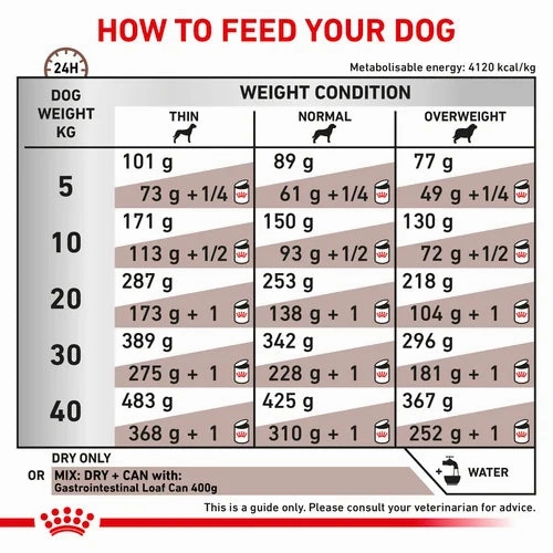 Royal Canin - Canine Gastro Intestinal