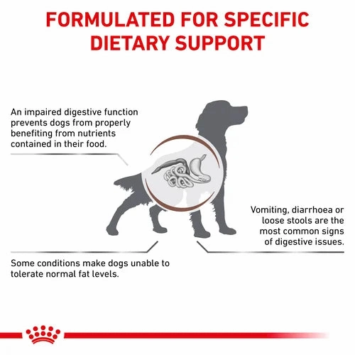 Royal Canin - Canine Gastro Intestinal Low Fat 200g