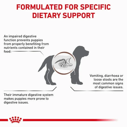Royal Canin - Canine Gastro Intestinal Puppy 1kg