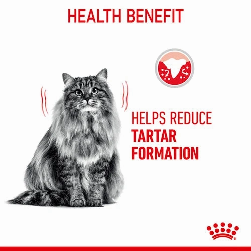 Royal Canin - Care Dental Cat Dry Food