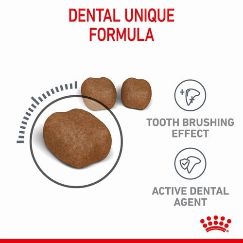 Royal Canin - Care Dental Cat Dry Food