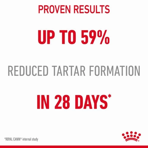 Royal Canin - Care Dental Cat Dry Food