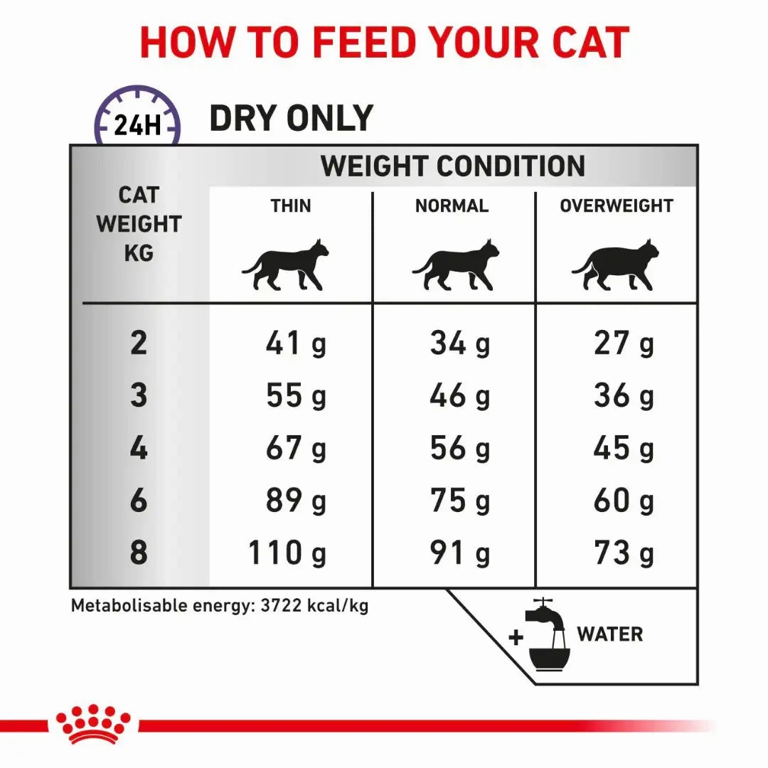 Royal Canin - Feline Dental Dry Food