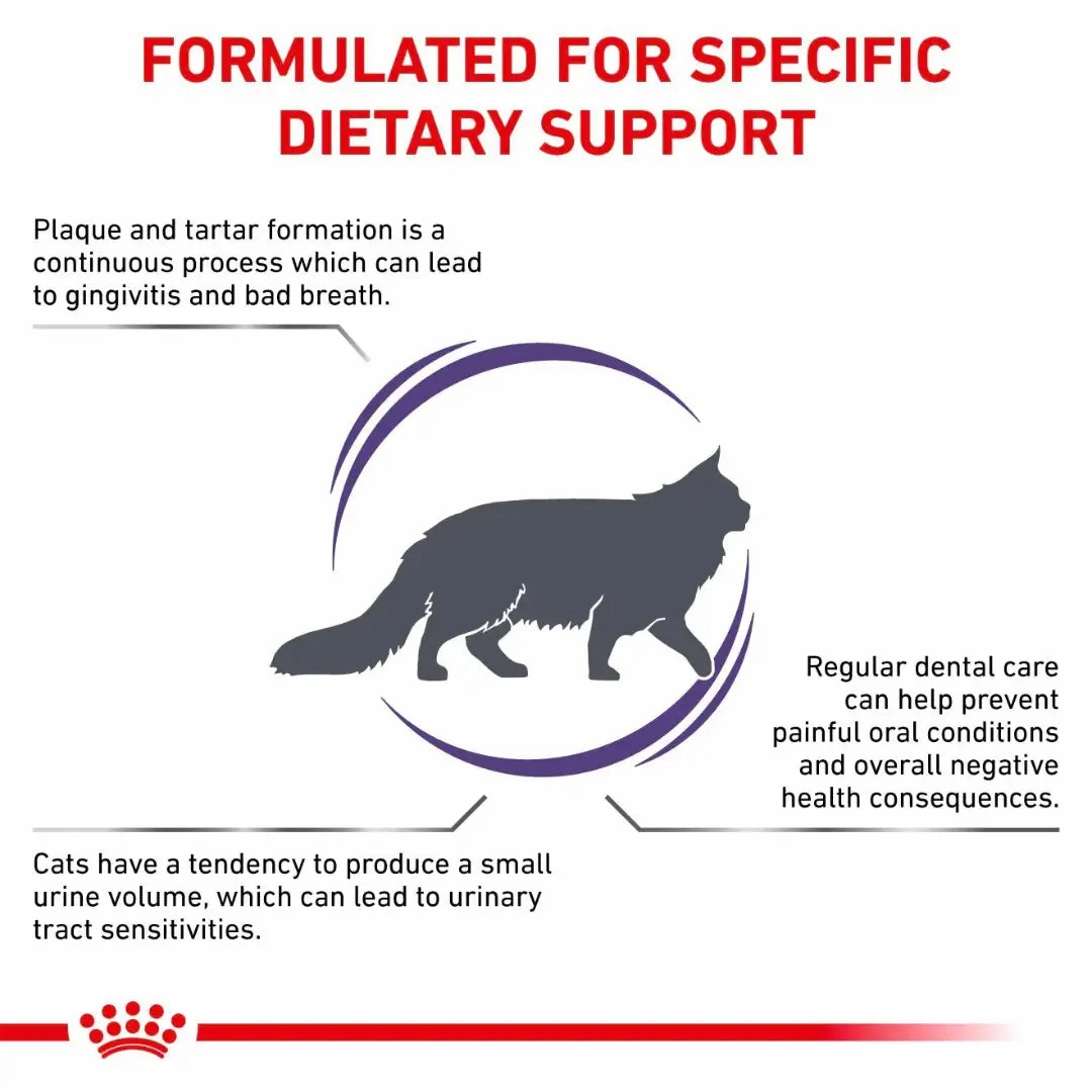 Royal Canin - Feline Dental Dry Food