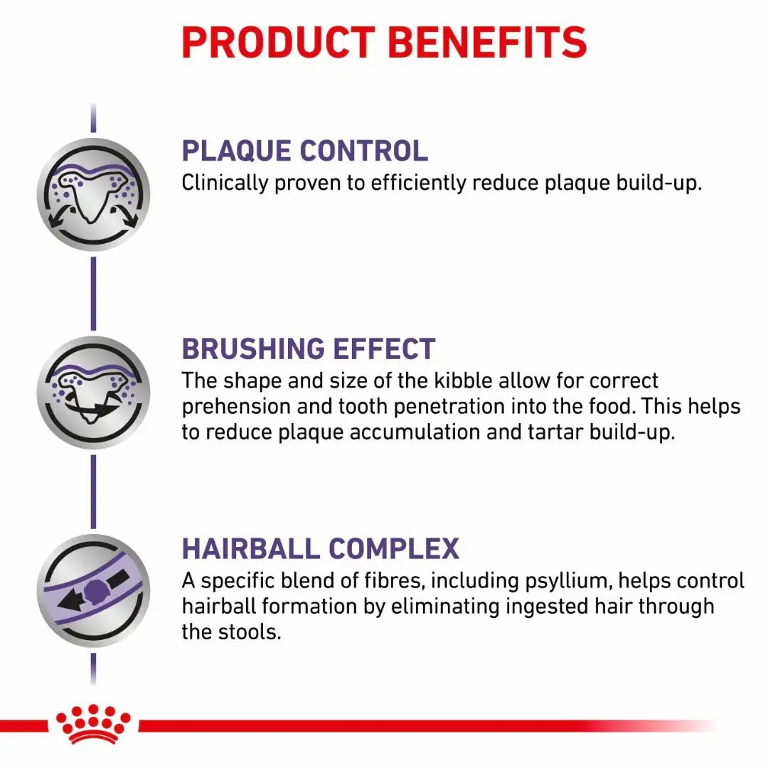 Royal Canin - Feline Dental Dry Food