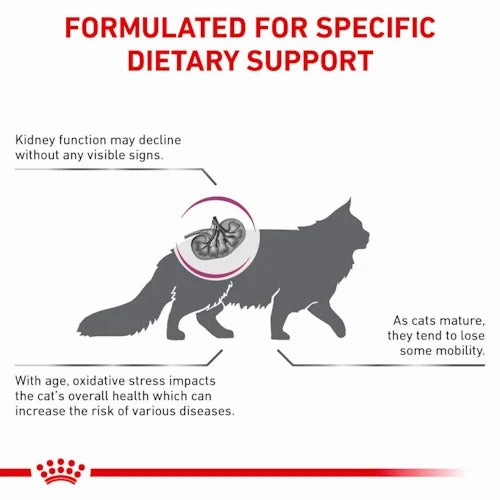 Royal Canin - Feline Early Renal Dry Food