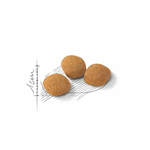Royal Canin - Feline Preference Protein Exigent Dry Food