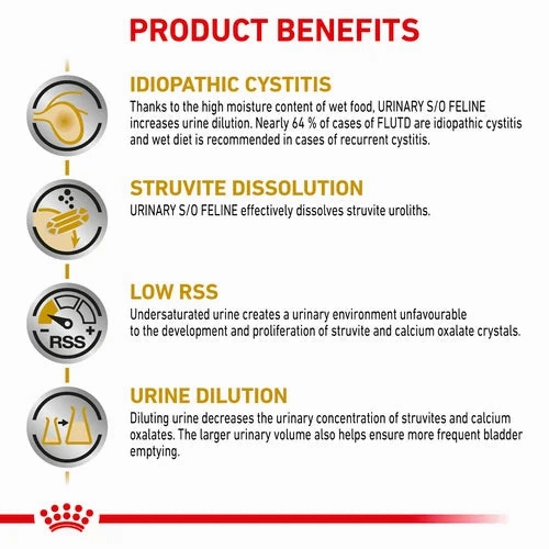 Royal Canin - Feline Urinary S/O Pouch 85g