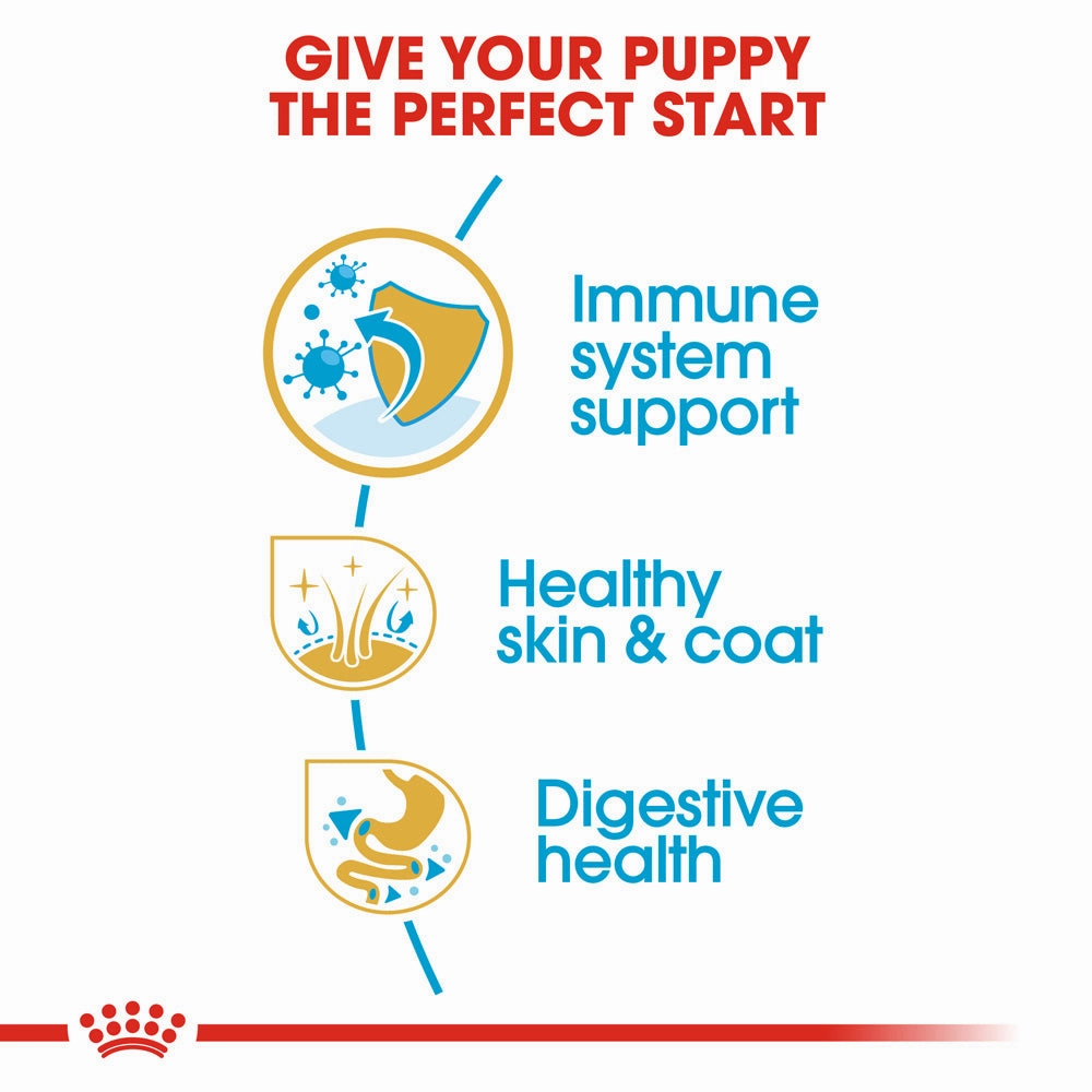 Royal Canin - Golden Retriever Breed Puppy Dog Dry Food (12kg)