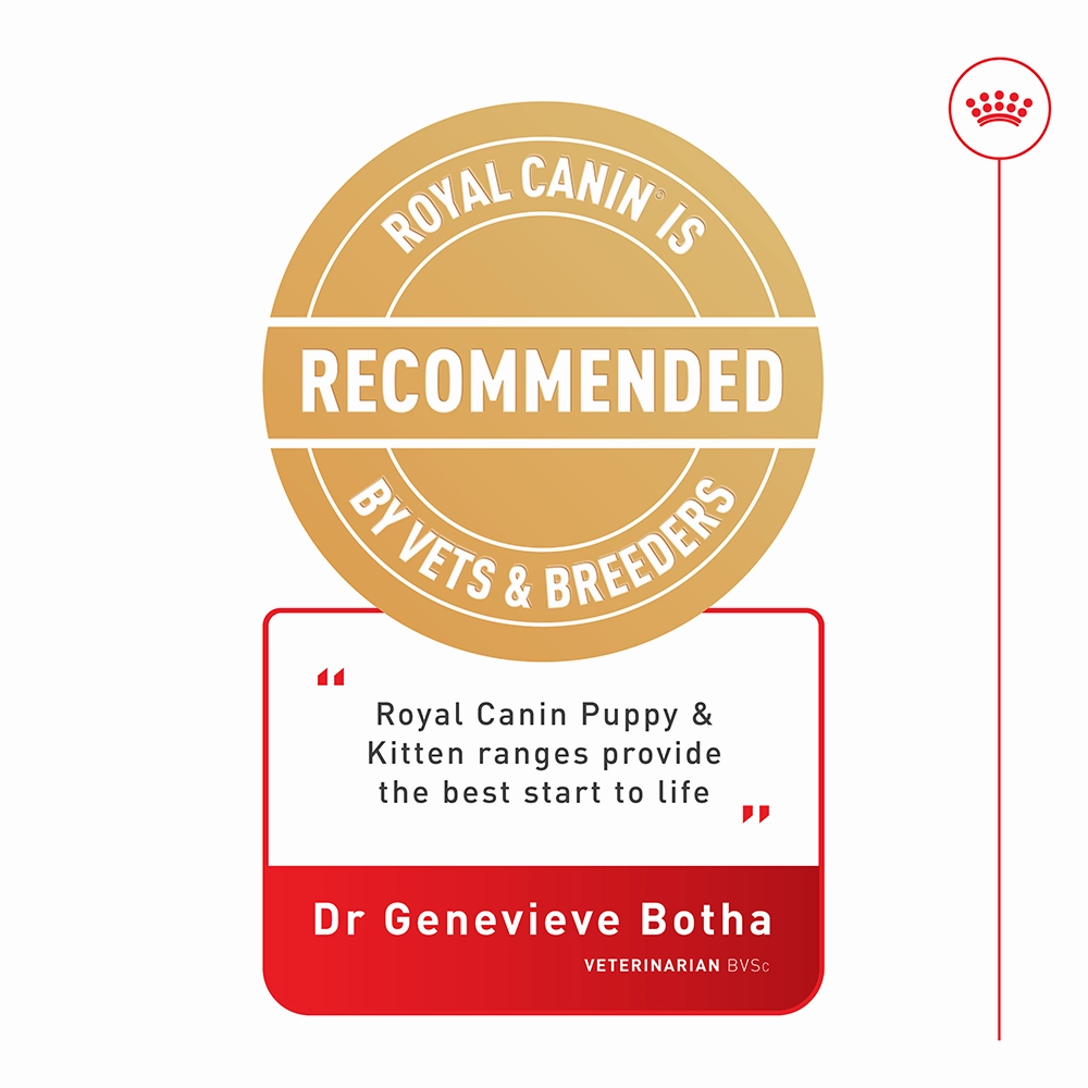 Royal Canin - Golden Retriever Breed Puppy Dog Dry Food (12kg)