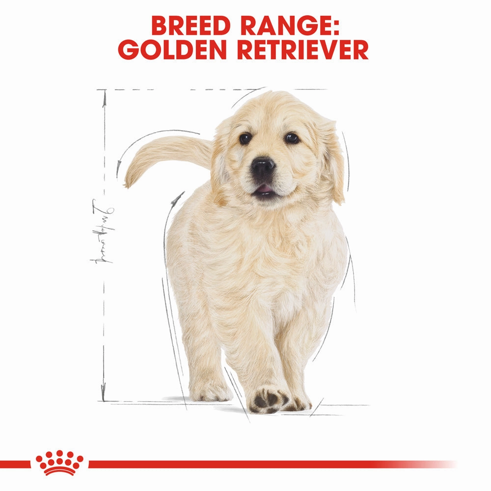 Royal Canin - Golden Retriever Breed Puppy Dog Dry Food (12kg)