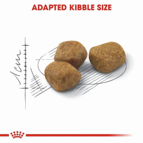 Royal Canin - Home Life Indoor 7  Cat Dry Food