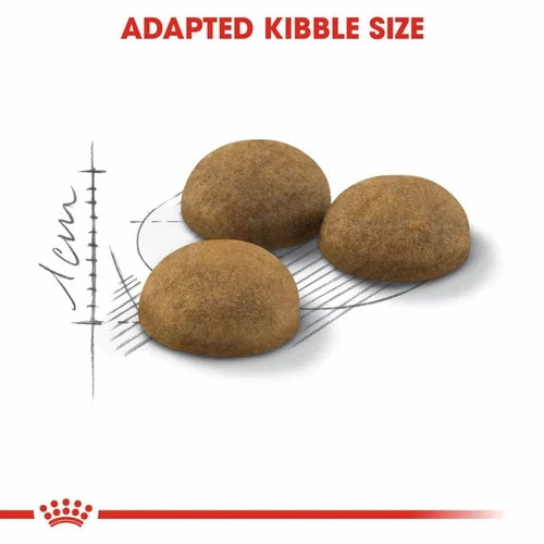 Royal Canin - Home Life Indoor Long Hair Cat Dry Food