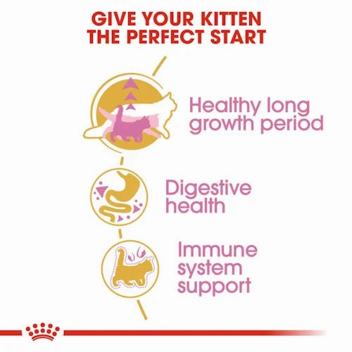 Royal Canin - Kitten Maine Coon Dry Food
