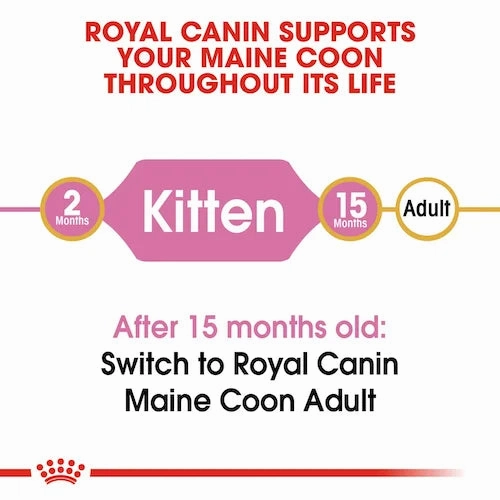 Royal Canin - Kitten Maine Coon Dry Food