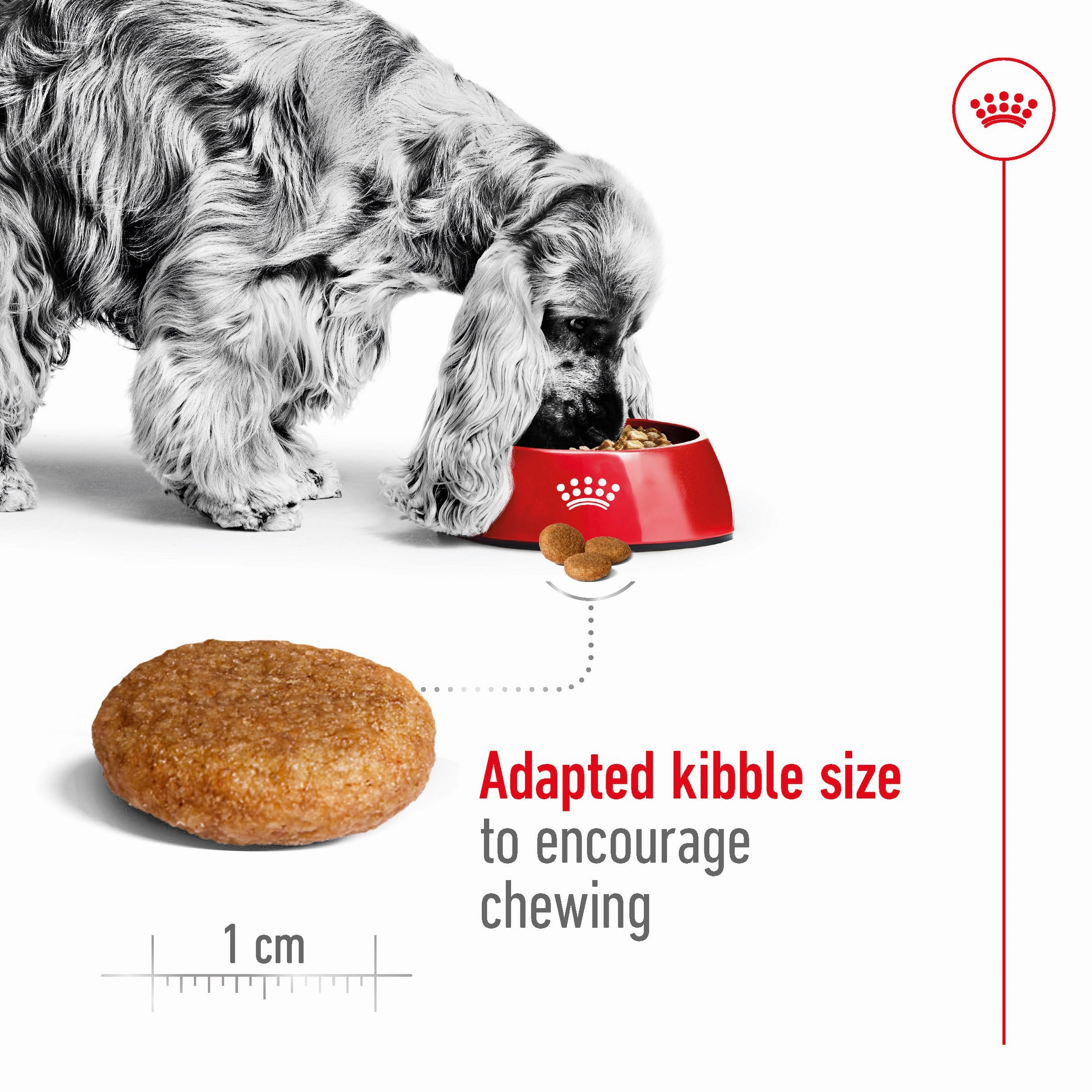 Royal Canin - Medium Adult Dog Dry Food (15kg)