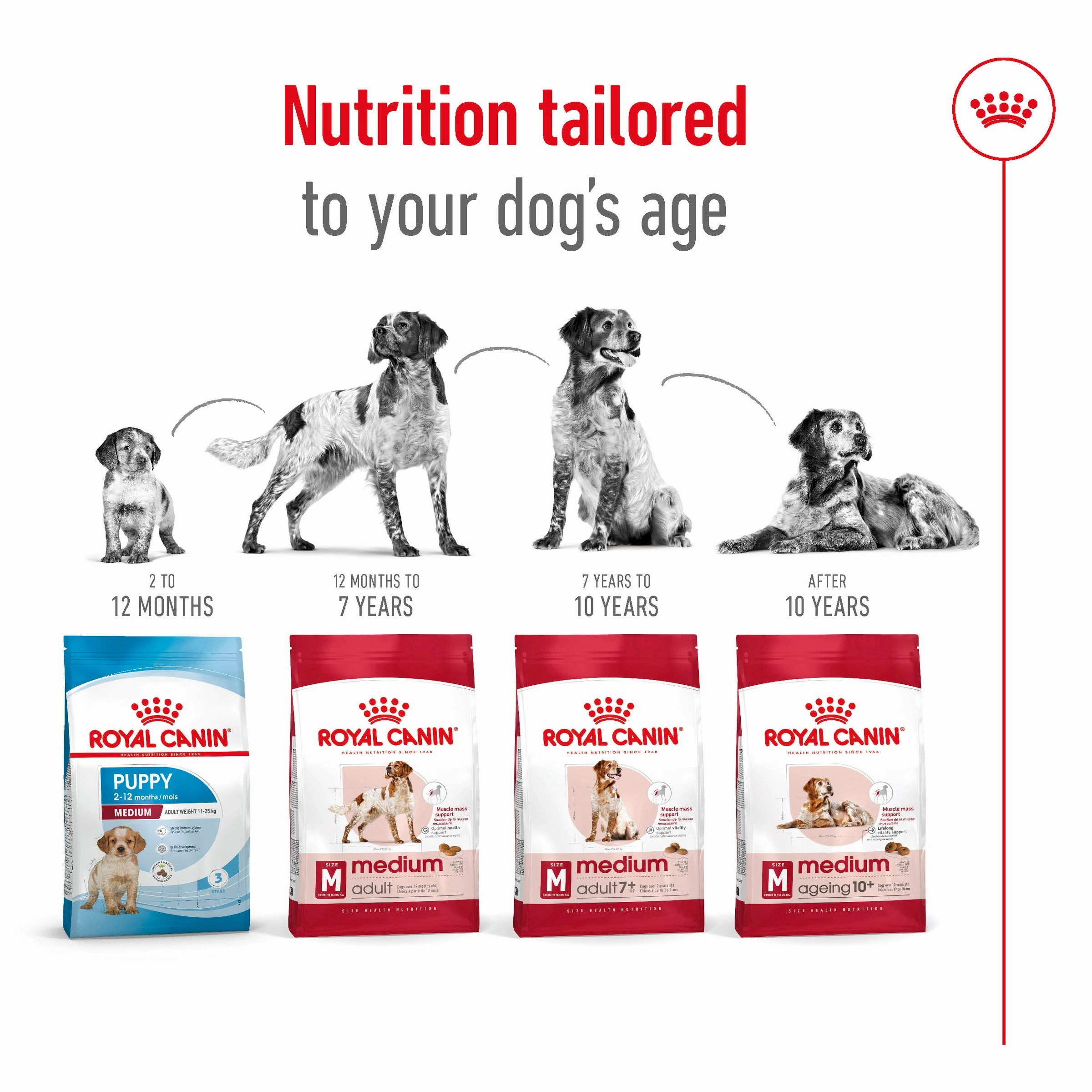 Royal Canin - Medium Adult Dog Dry Food (15kg)