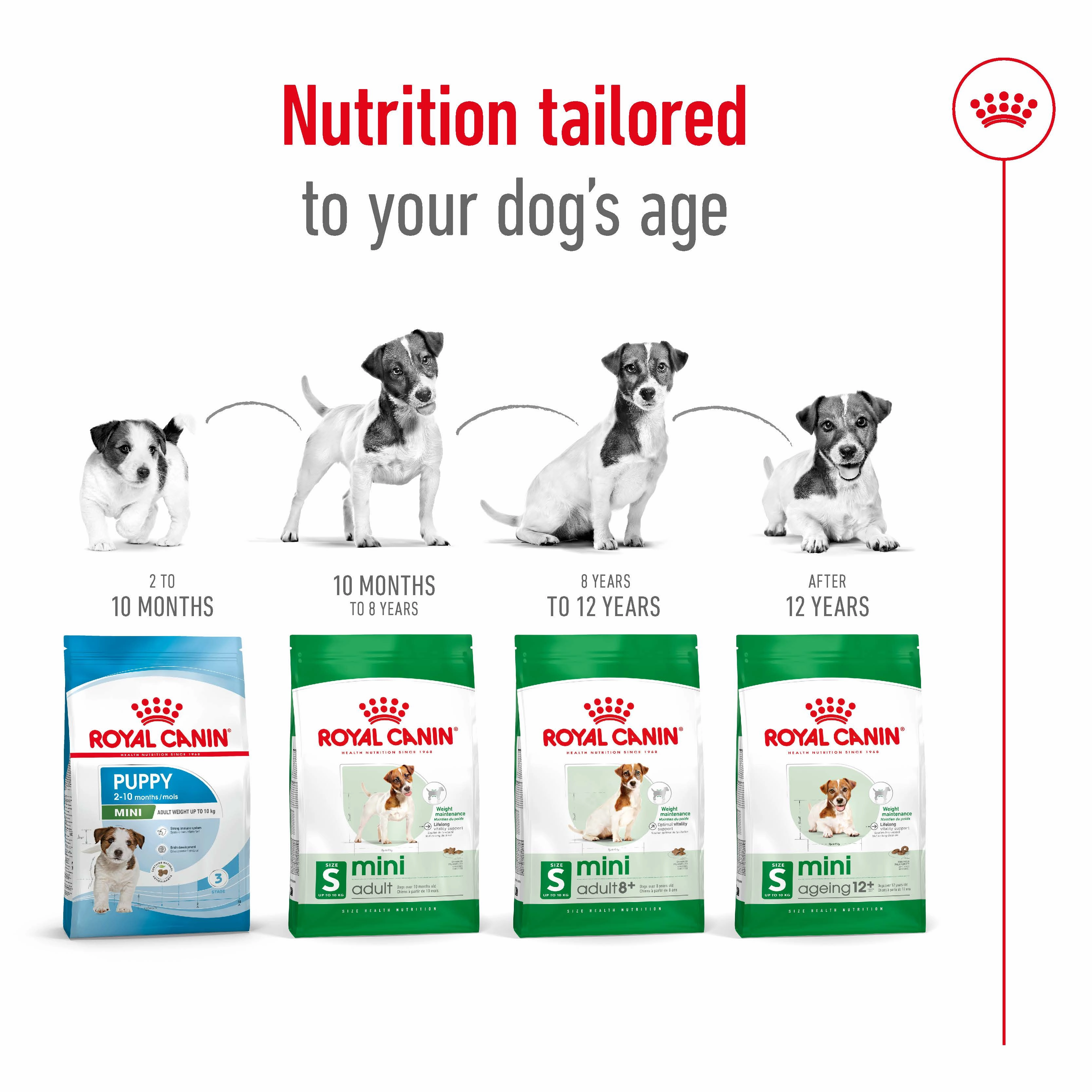 Royal Canin - Mini 8  Mature Dog Dry Food (2kg)