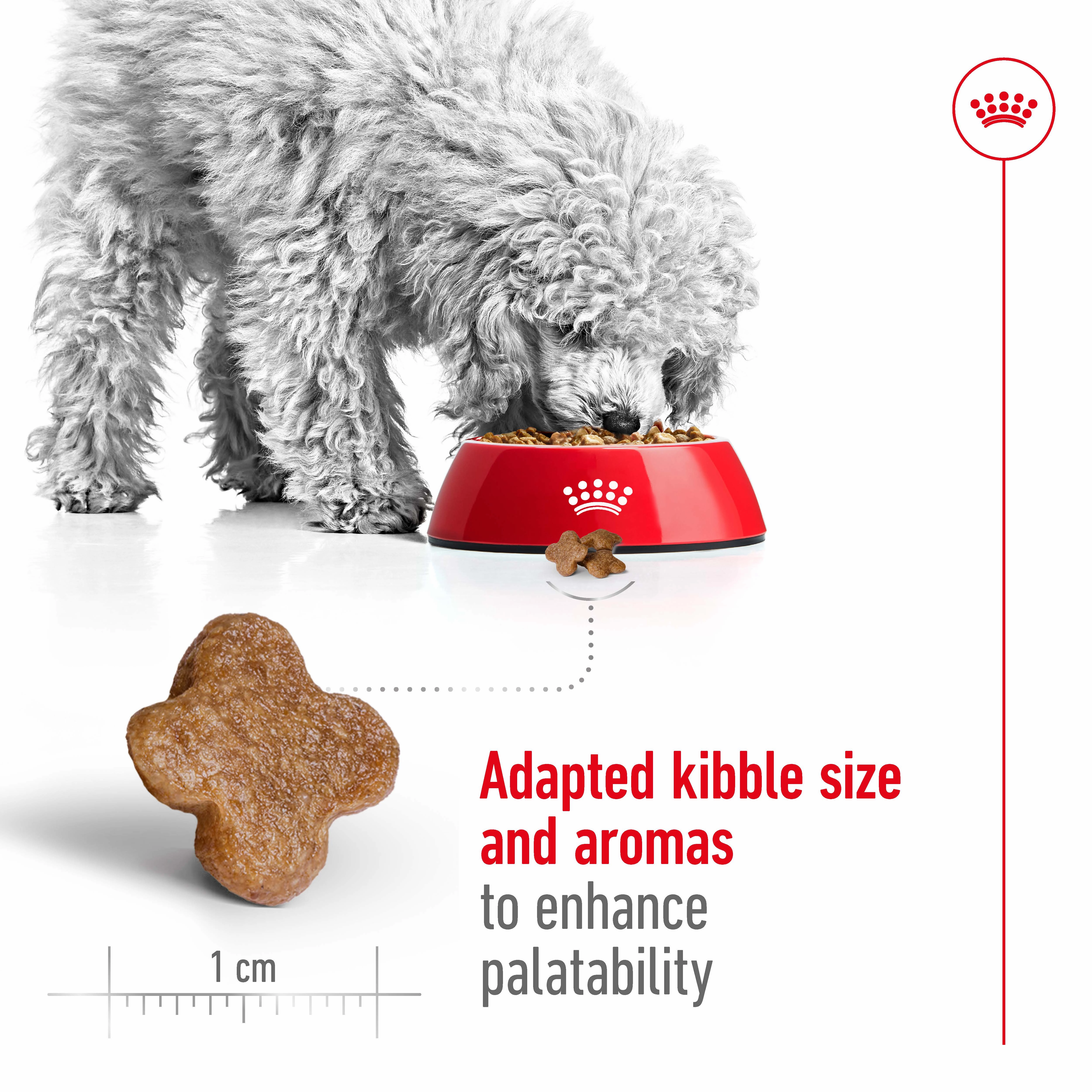 Royal Canin - Mini 8  Mature Dog Dry Food (2kg)