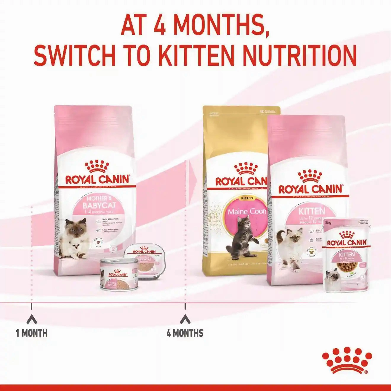 Royal Canin - Mother & Babycat Dry Food (1-4 Months)