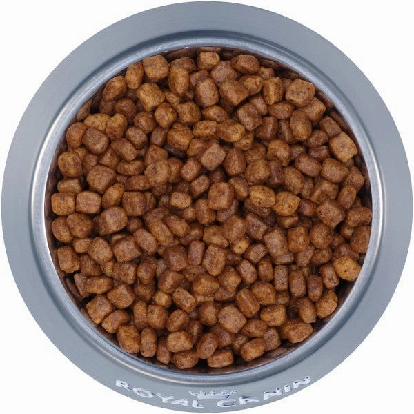 Royal Canin Chihuahua Puppy Dry Dog Food, 2.5lb