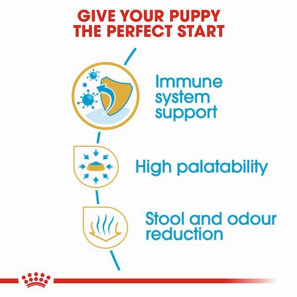 Royal Canin Chihuahua Puppy Dry Dog Food, 2.5lb