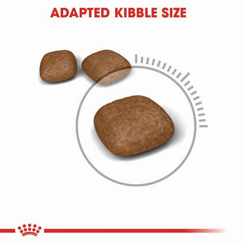 Royal Canin Fit 32 and Urinary Care Adult Cat Dry Food Combo