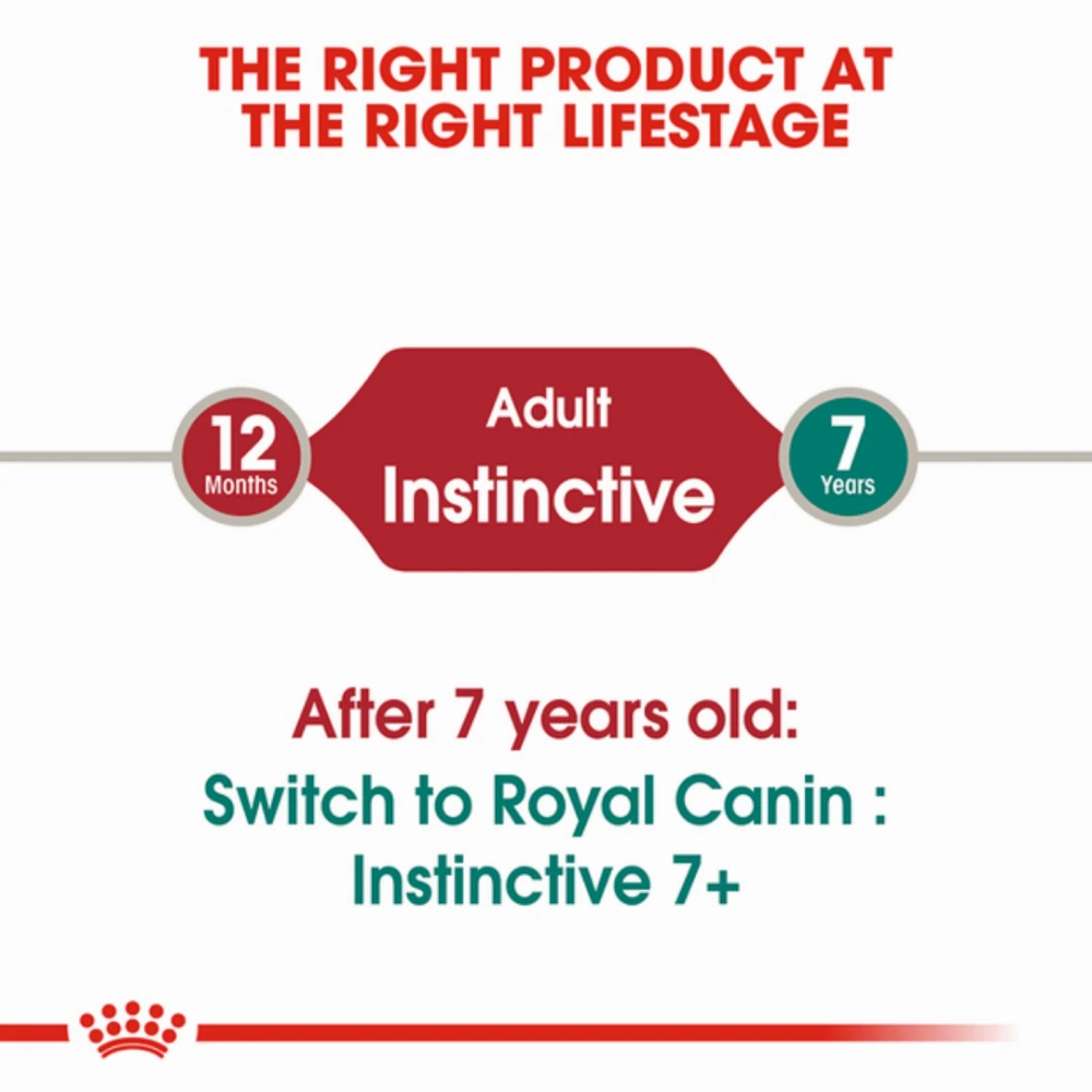 Royal Canin Fit 32 Dry Food and Instinctive Adult Gravy Cat Wet Food Combo