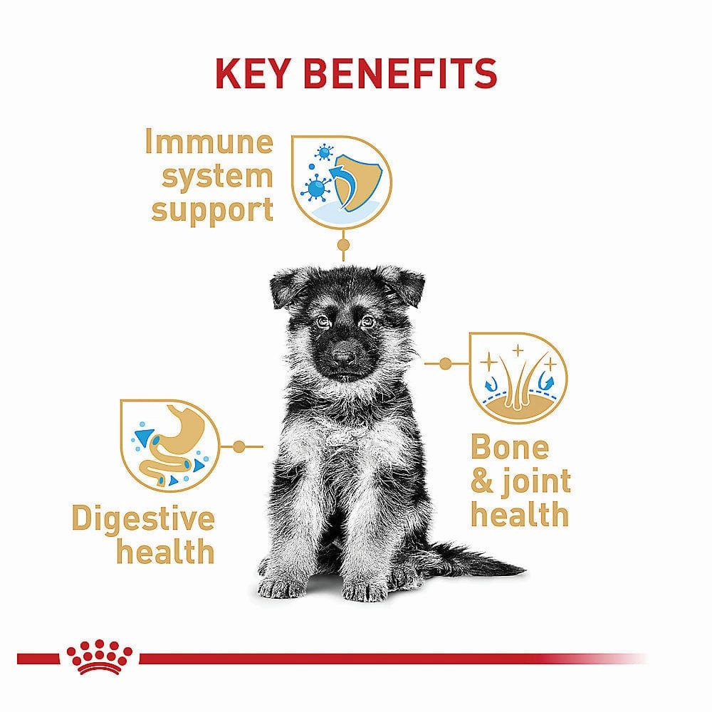 Royal Canin German Shepherd Puppy Dry Dog Food, 30lb
