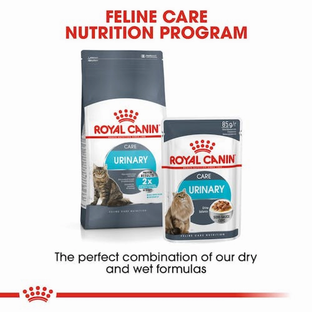 Royal Canin Hair & Skin Care Dry Food and Urinary Care Adult Cat Dry Food Combo