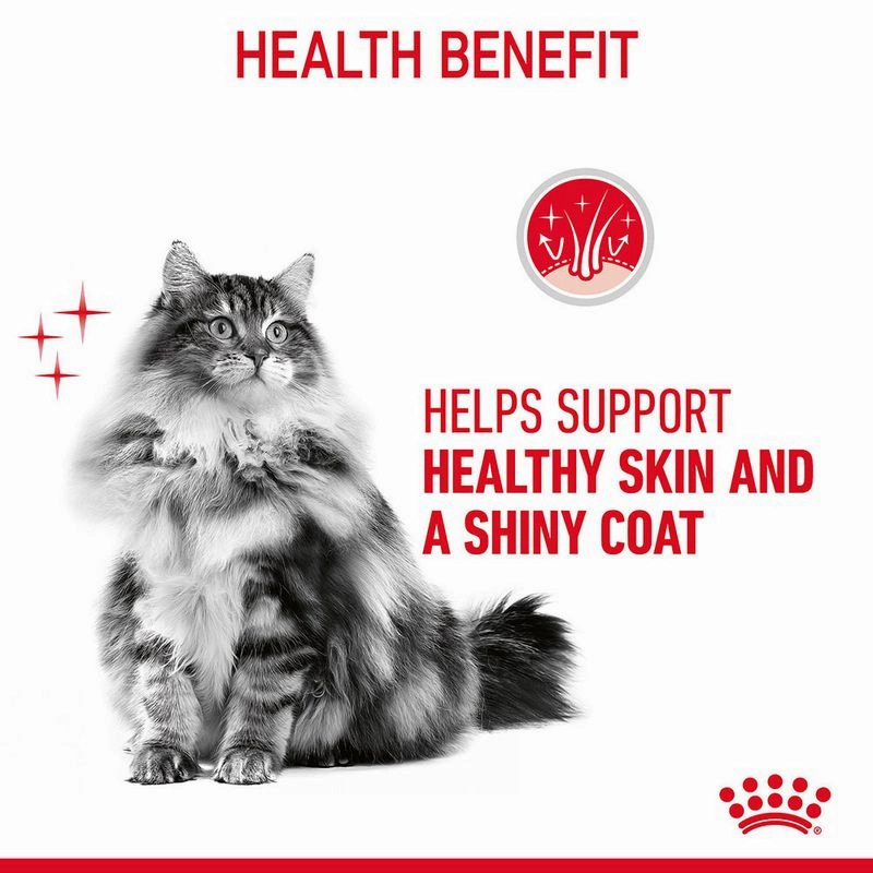 Royal Canin Hairball Care Dry Food and Hair & Skin Care Gravy Wet Adult Cat Food Combo