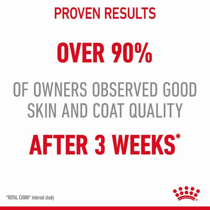 Royal Canin Hairball Care Dry Food and Hair & Skin Care Gravy Wet Adult Cat Food Combo