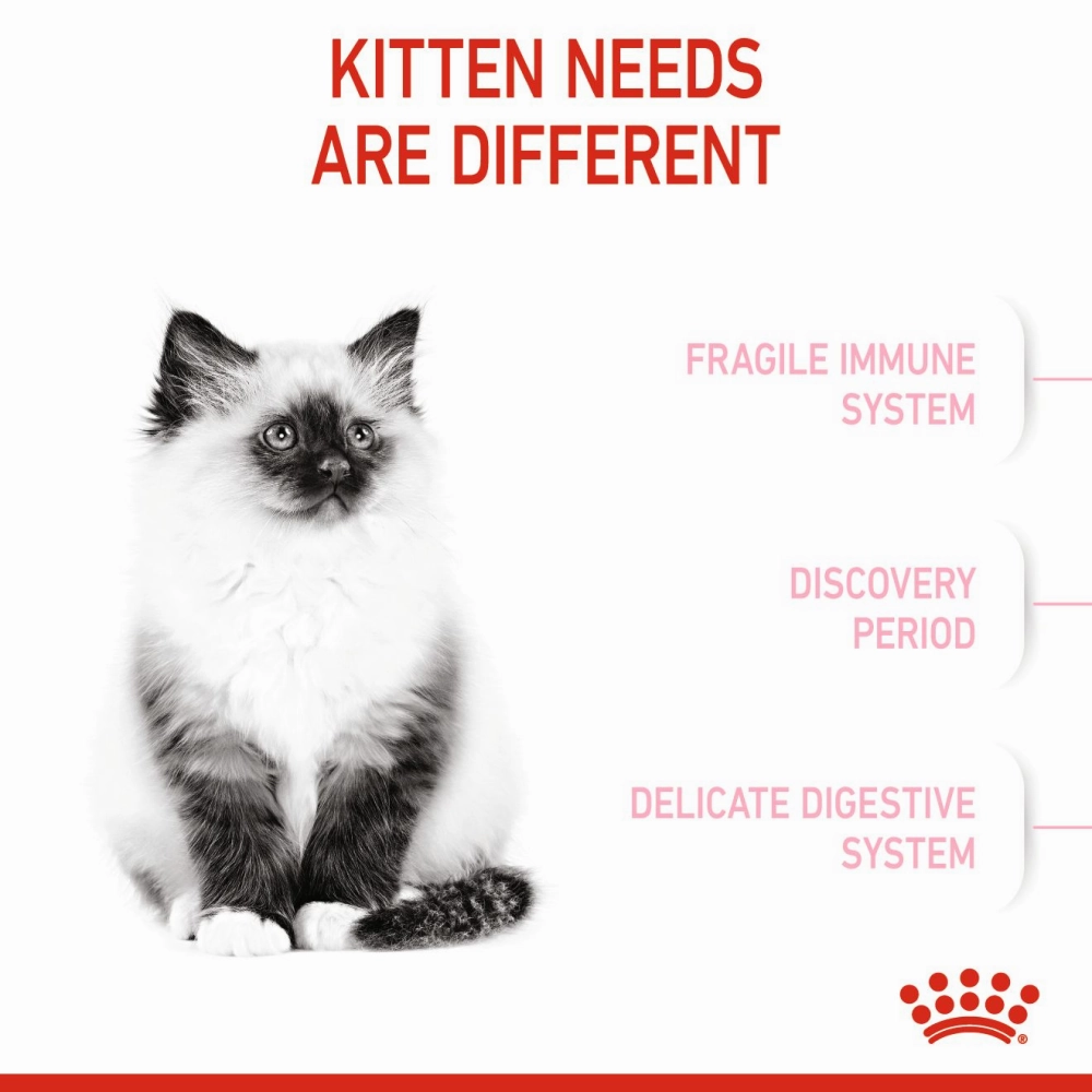 Royal Canin Kitten Cat Dry Food