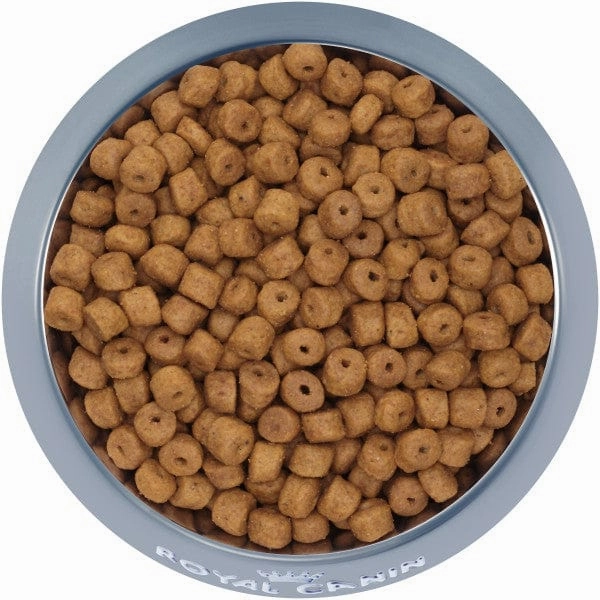 Royal Canin Labrador Retriever Puppy Dry Dog Food, 30lb