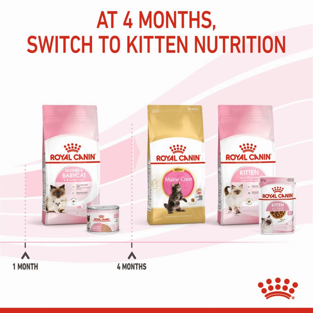 Royal Canin Mother & Babycat Cat Dry Food