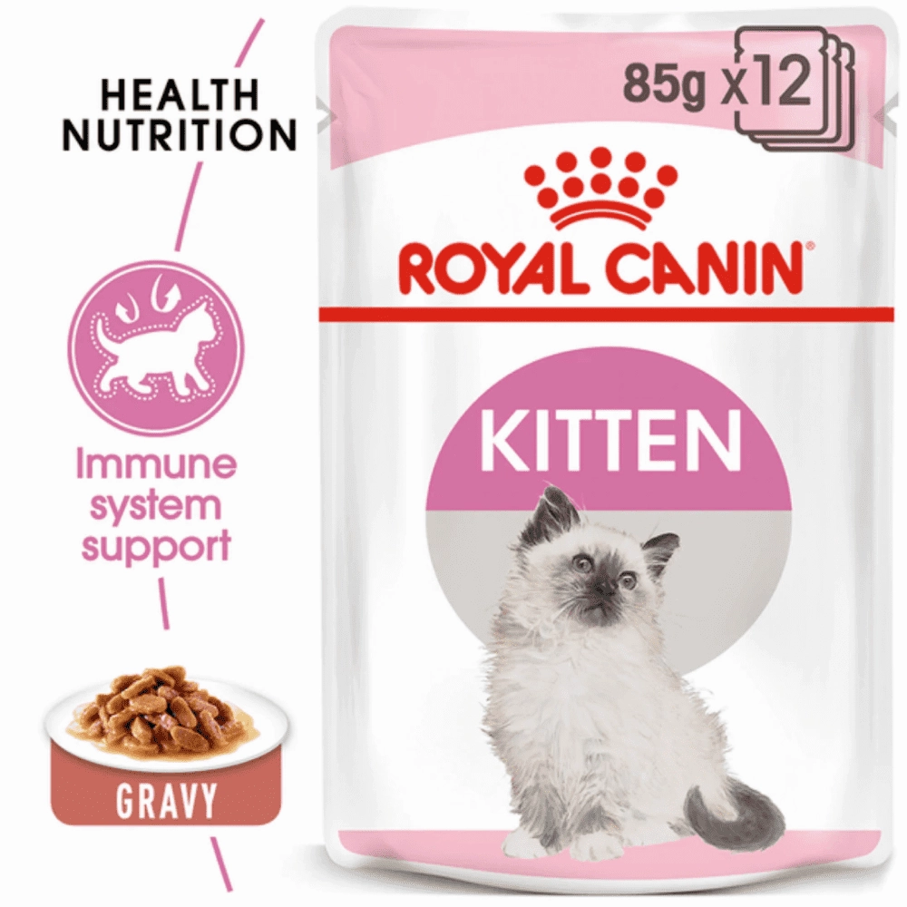 Royal Canin Persian Dry Food and Gravy Kitten Cat Wet Food Combo