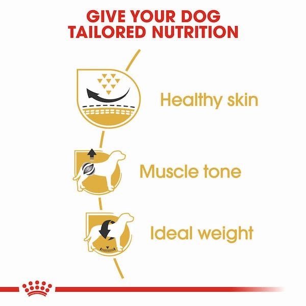 Royal Canin Pug Adult Dry Dog Food, 10lb