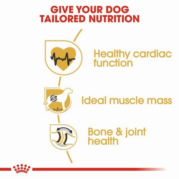 Royal Canin Rottweiler Adult Dry Dog Food, 30lb (SPECIAL ORDER ITEM)