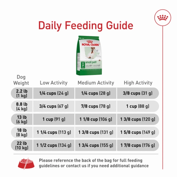 Royal Canin Small Adult 8  Dry Dog Food