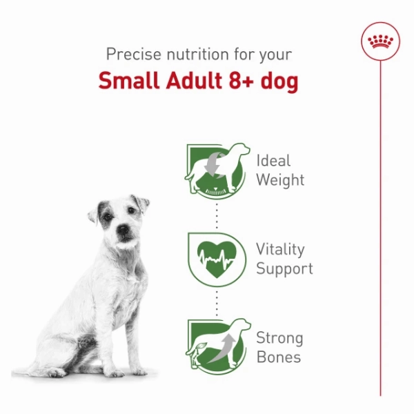 Royal Canin Small Adult 8  Dry Dog Food