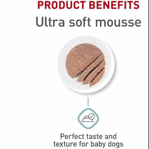Royal Canin Starter Mother & Babydog Mousse in Sauce Canned Dog Food, 145g