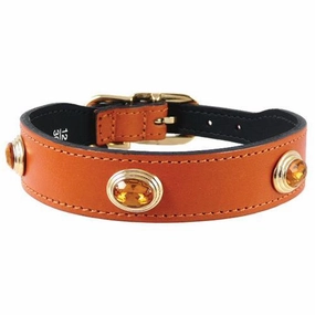 Royal Collection Dog Collar Tangerine