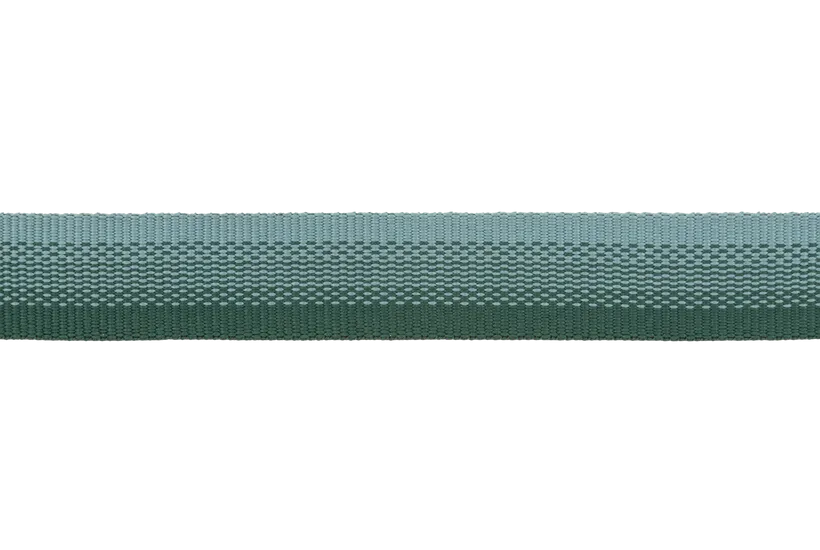 Ruffwear Front Range Dog Collar in River Rock Green