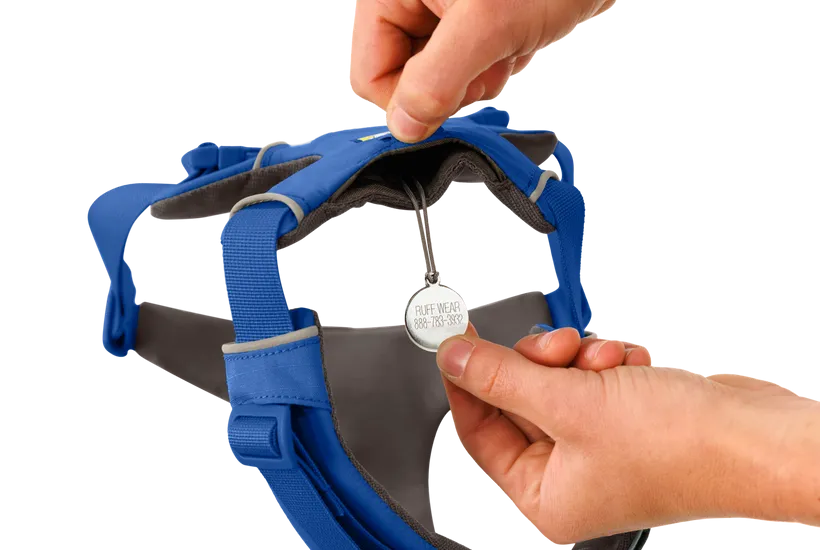 Ruffwear Front Range Dog Harness in Blue Pool