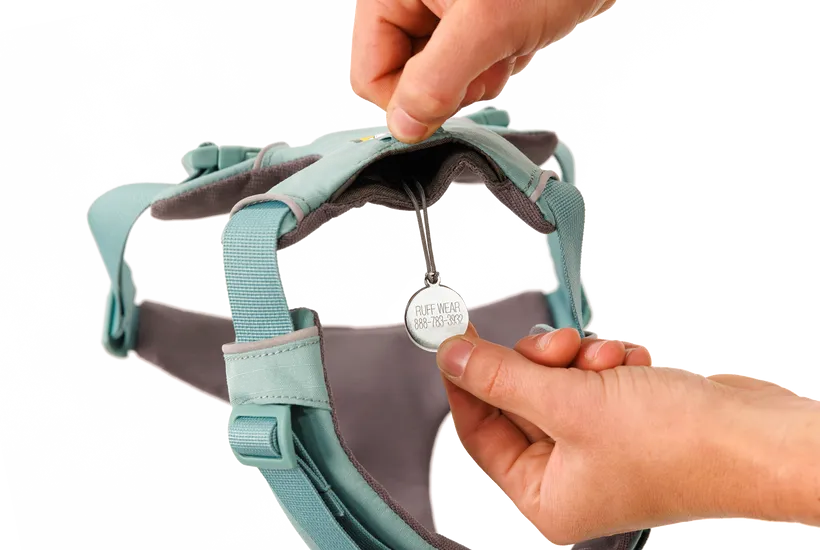 Ruffwear Front Range Dog Harness in River Rock Green