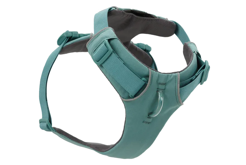 Ruffwear Front Range Dog Harness in River Rock Green