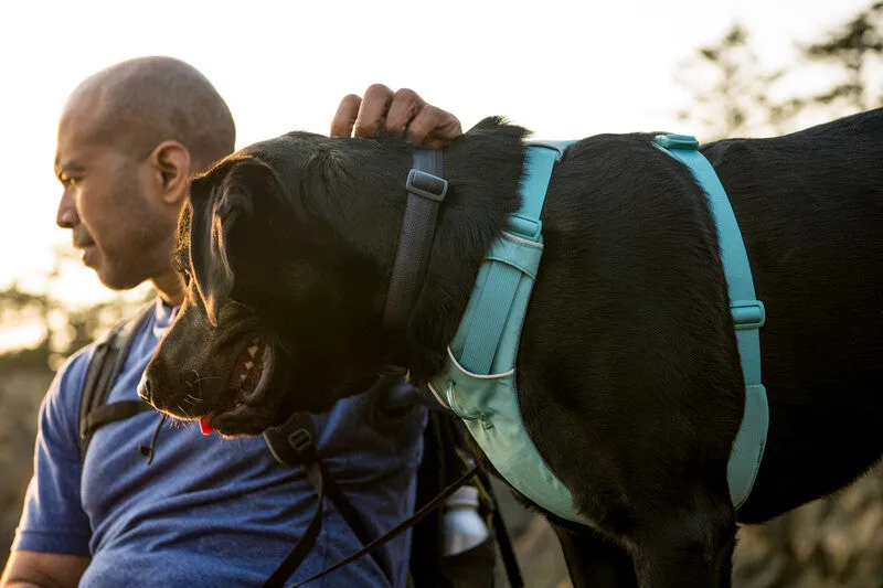 Ruffwear Front Range Dog Harness in River Rock Green
