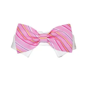 Ryan Dog Bow Tie Collar