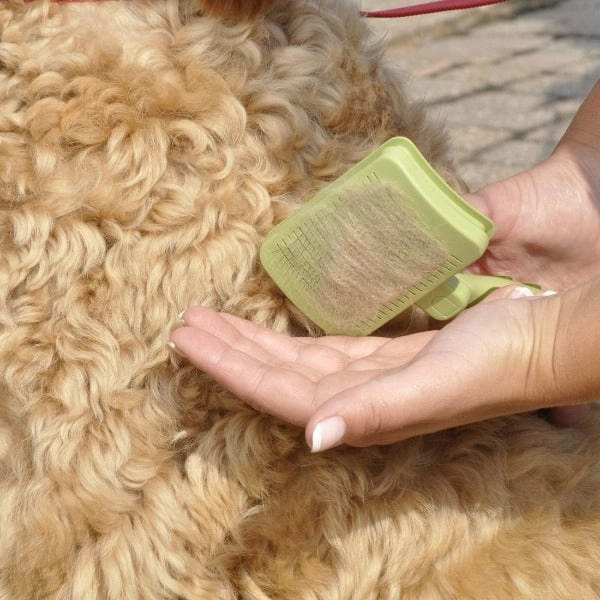 Safari Dog Self-Cleaning Slicker Brush