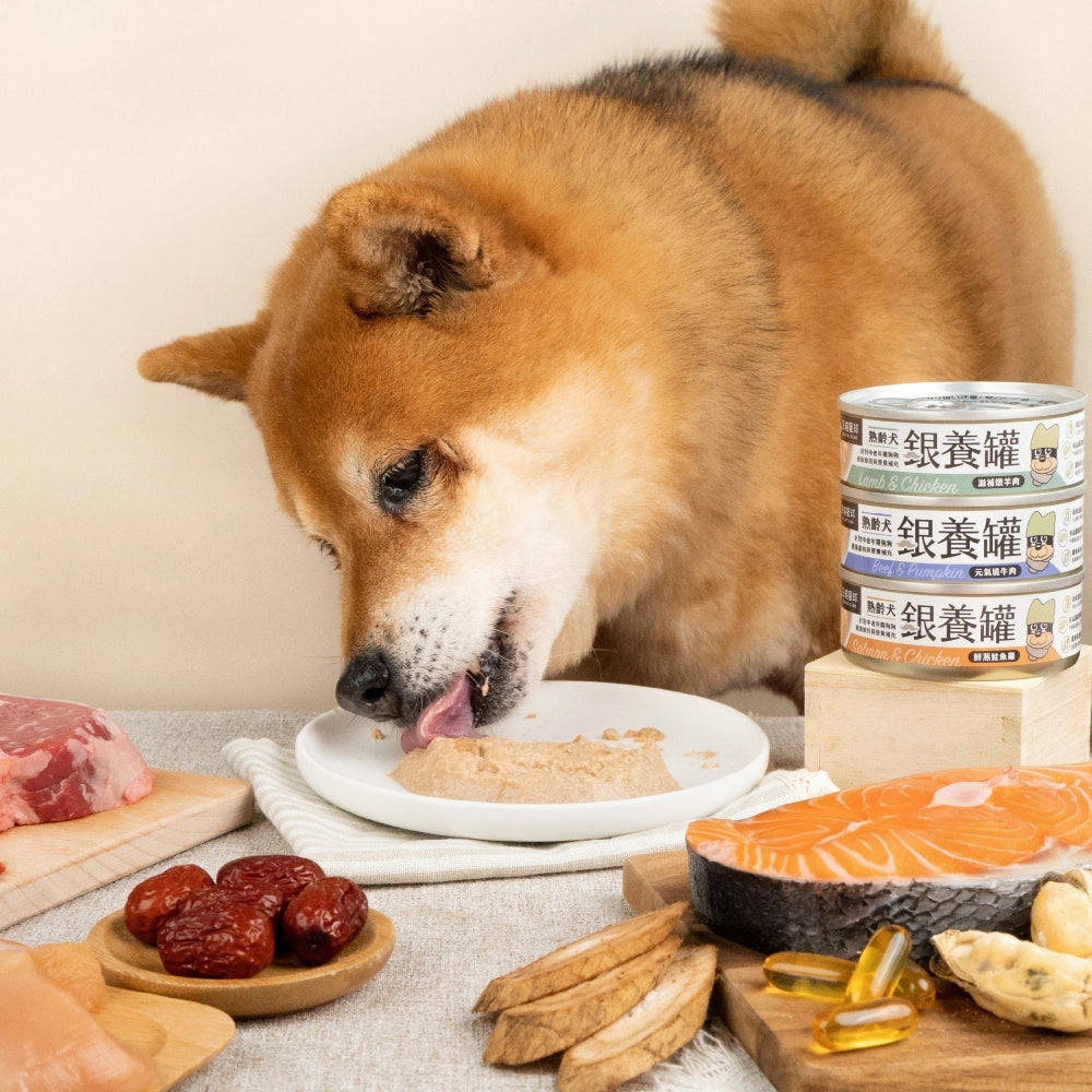 Salmon & Chicken Complete Balanced Senior Dog Can